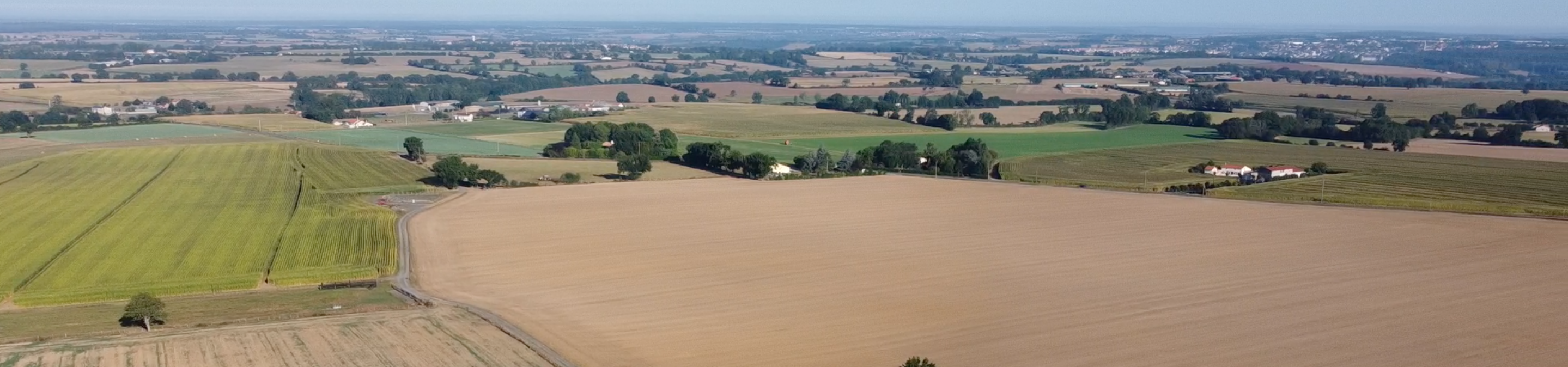 Campagne des Mauges à Andrezé (49)