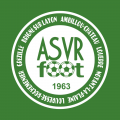 Asvr ambillou fc