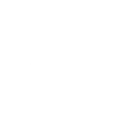 Man trucks & bus