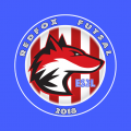 Redfox futsal